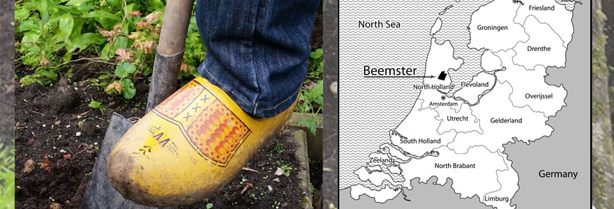 wooden clogs, or ‘klompen’ may have also resulted in a distinct pattern of damage to Dutch farmers