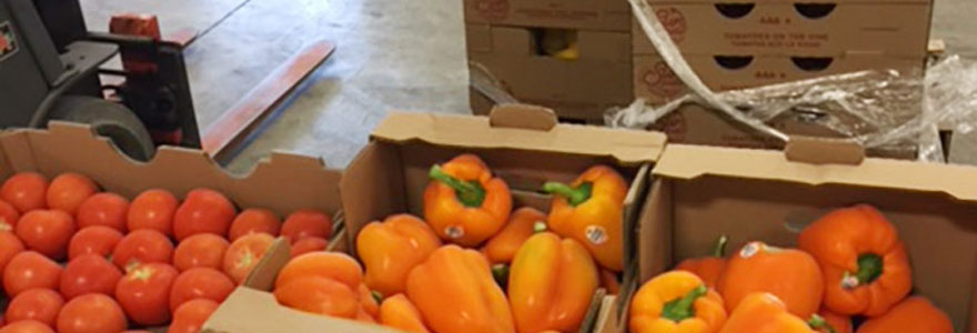Tomatoes and peppers in food bank