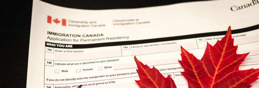 Maple leaf on immigration application